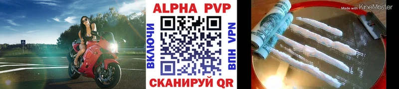 Альфа ПВП СК КРИС Грозный