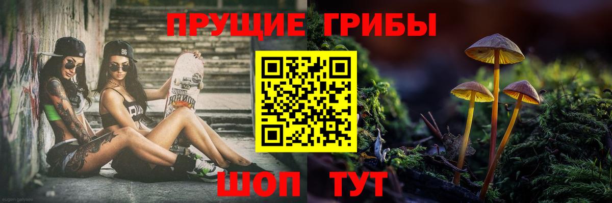 Галлюциногенные грибы MAGIC MUSHROOMS  Вход с VPN  Грозный 