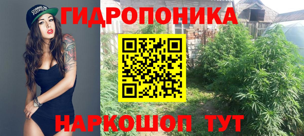 МАРИХУАНА MAZAR  Конопля ГИДРОПОН  Бошки Шишки план  Грозный  Марихуана сатива  Вход с VPN 
